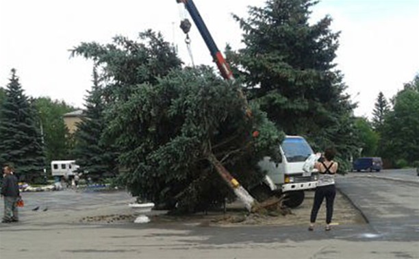 Ураган в Плавске: фото и видео очевидцев