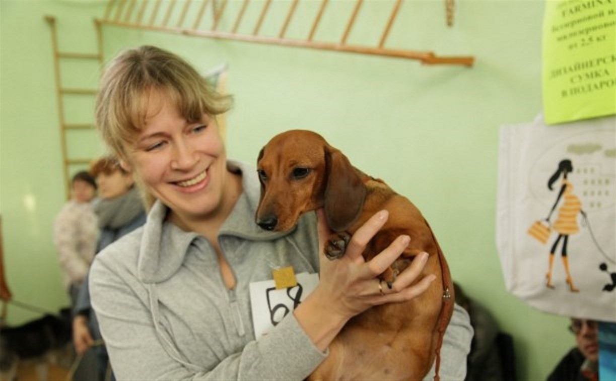 В Новомосковске пройдёт региональная выставка собак