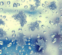 Погода в Туле 28 декабря: мокрый снег, гололедица и до -5