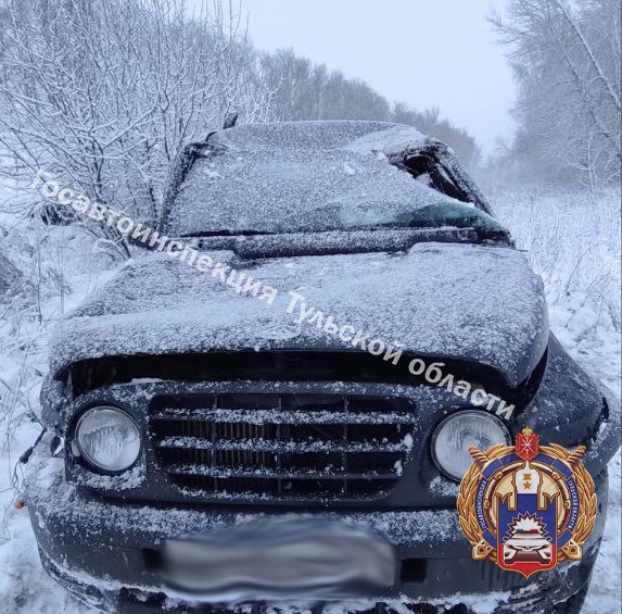 В Чернском районе водитель ТагАЗа разогнался на трассе и улетел в кювет