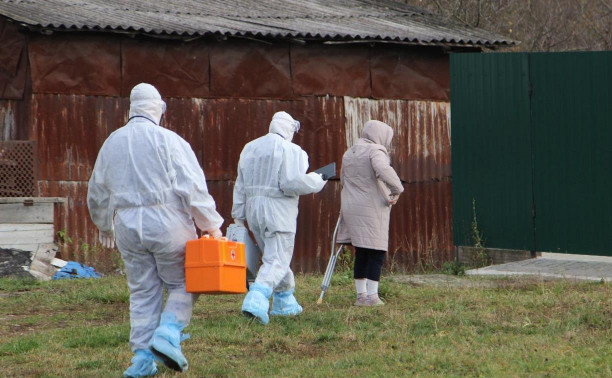 В Тульской области 207 новых случаев коронавируса и 10 летальных исходов