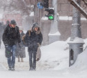 Погода в Туле 12 февраля: метели, снежные заносы и ветер