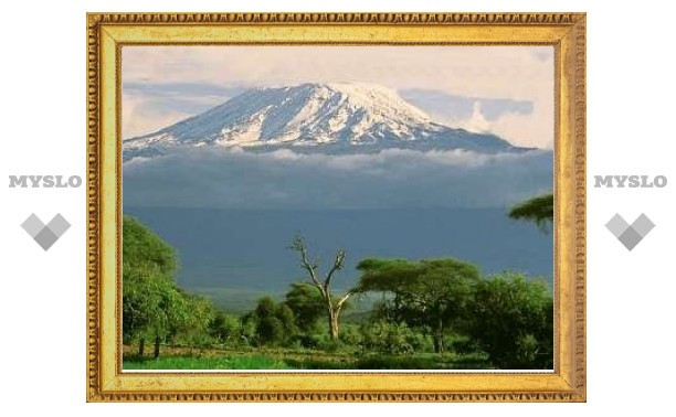 Деревья оказались хранителями снегов Килиманджаро