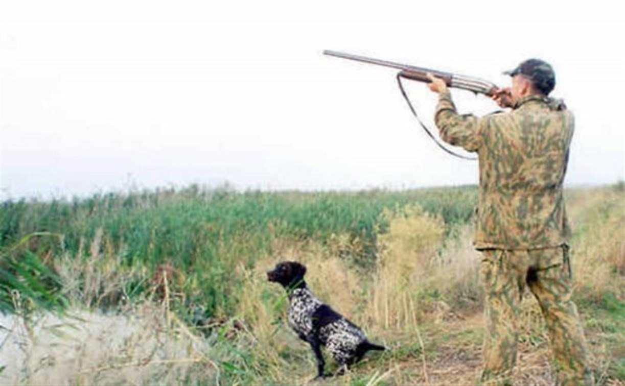 С 18 августа в Тульской области открывается сезон охоты на пернатую дичь