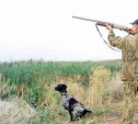 С 18 августа в Тульской области открывается сезон охоты на пернатую дичь