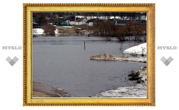 Под Тулой уровень воды в реке Упе достиг полуметра