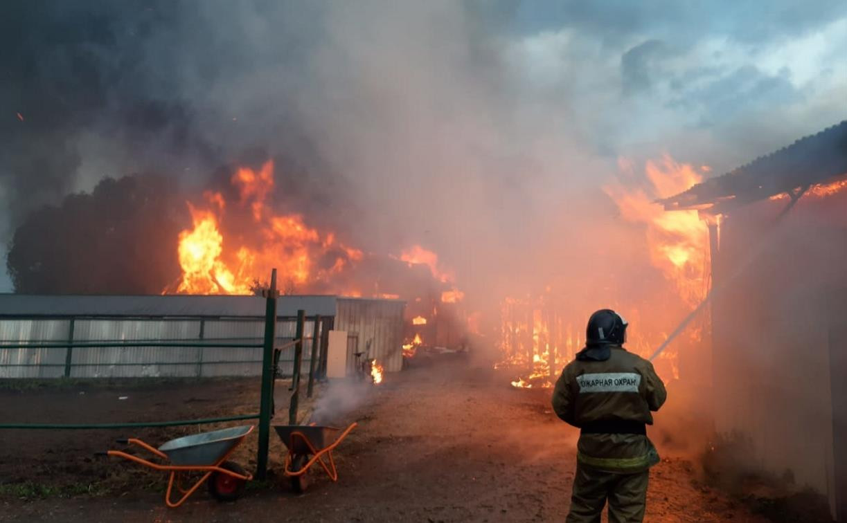 В Тульской области сгорела конюшня: погиб мужчина