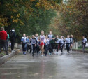 Тульские легкоатлеты пробегут по Белоусовскому парку