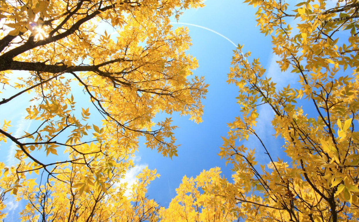 Синоптики дали прогноз на сентябрь