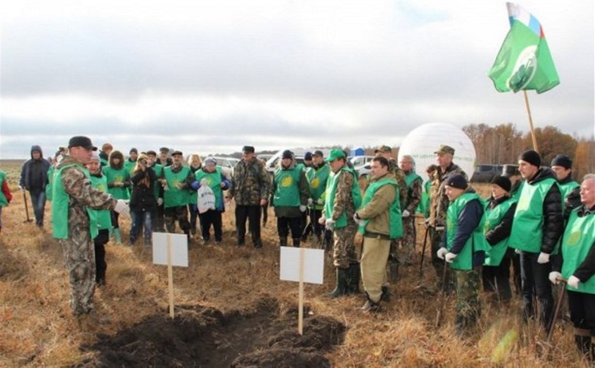 На Куликовом поле активисты высадили 2000 молодых деревьев 