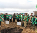 На Куликовом поле активисты высадили 2000 молодых деревьев 