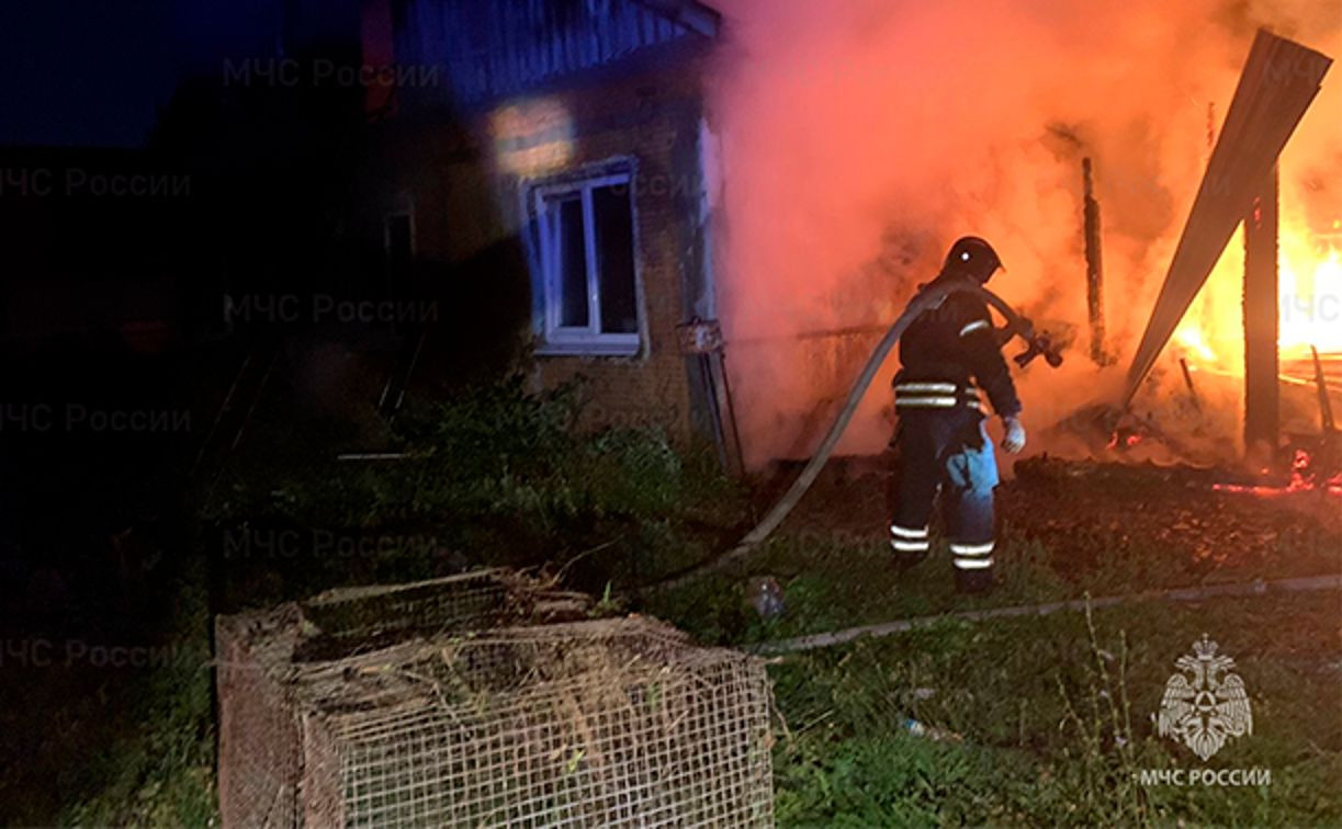 В селе под Новомосковском семейная пара заживо сгорела в своём доме