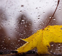 Погода в Туле 8 сентября: прохладно и дождь с грозой