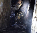В Новомосковске поисковики вытащили упавшую в подвал собаку: видео