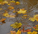 Погода в Туле 8 сентября: до +18 градусов, дождь и ветер