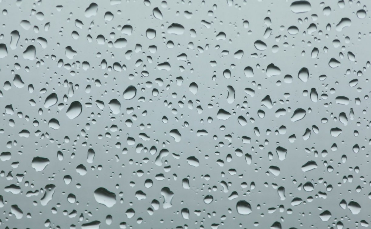 Тульскую область почти на сутки накроет ливнем 