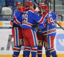 Туляков приглашают на хоккейный матч между «Академией Михайлова» и «СКА-1946»