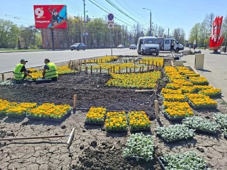 В Туле к 9 Мая высадят бархатцы, петунии, цинерарии