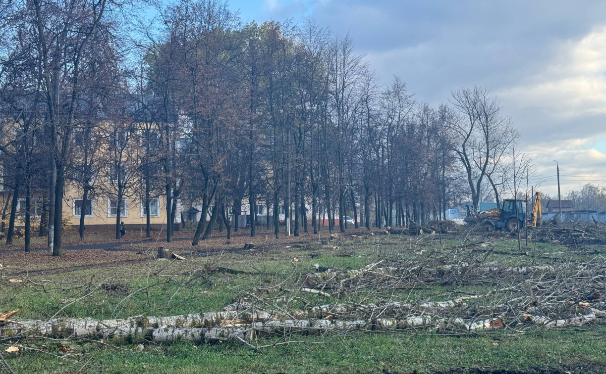 В администрации рассказали, зачем вырубают тополя в сквере на Приупской