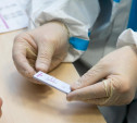 Новый антирекорд: в Тульской области за сутки 140 случаев коронавируса