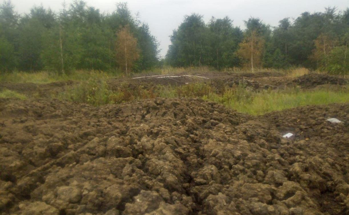 Жители Богородицкого района жалуются на вонь от куриного помета и полчища мух