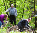 В Платоновском парке и на Лесной Поляне навели чистоту и порядок сотрудники «Щекиноазота»