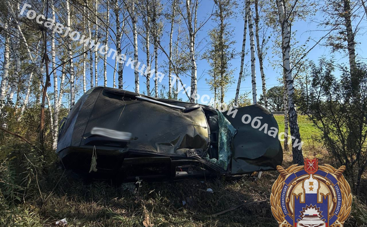 В Заокском районе автоледи на Renault влетела в дерево 