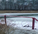 В парковом пруду Киреевска утонул 10-летний мальчик