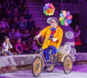 Туляков приглашают на новогоднее представление «Ёлка в цирке»