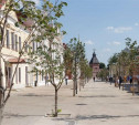 Тульский музейный квартал может стать музеем года в России
