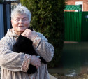 Переправа для кота Коленьки: в Туле паводок подобрался к домам жителей Тупика Реки Воронки