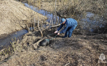 Жизнь Тулы и области