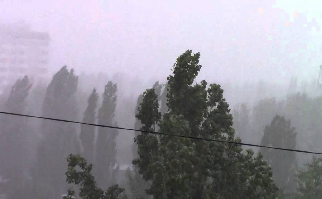 Метеопредупреждение: на Тульскую область надвигаются грозы и сильный ветер