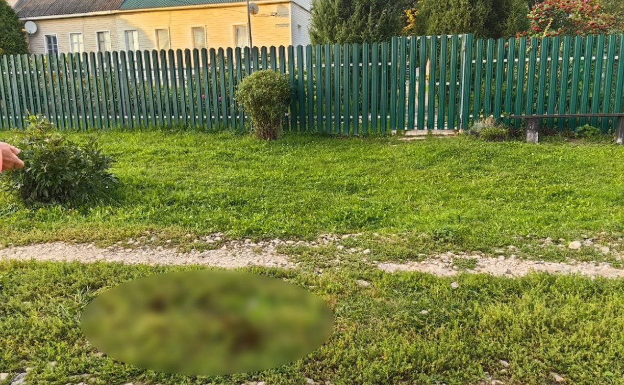 В Веневском районе подросток получил травмы, катаясь на квадроцикле