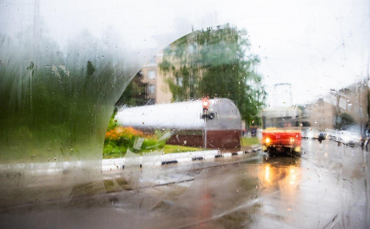 Погода в Туле 17 июля: дождливо, ветрено и до +25 градусов