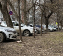 В Туле за парковку на газонах будут штрафовать на 2 тысячи рублей
