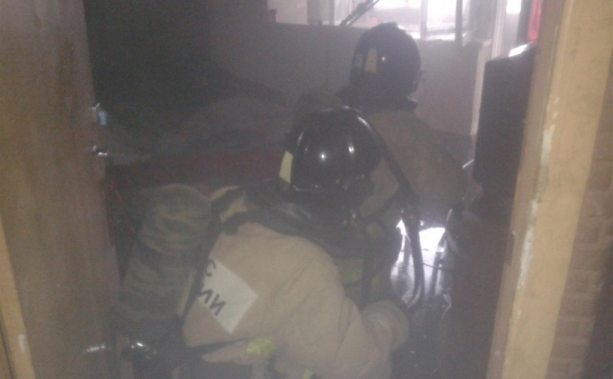 Из горящей квартиры в Новомосковске пожарные спасли двух человек