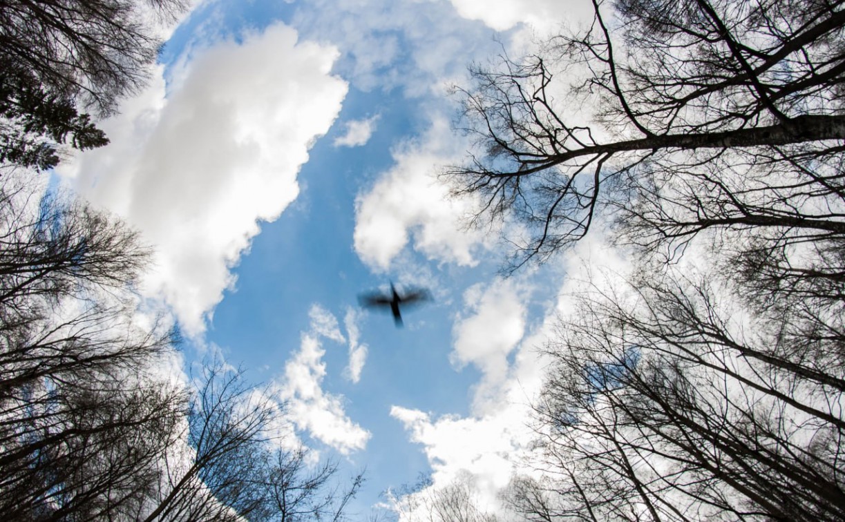 Первые выходные апреля будут прохладными и дождливыми 