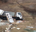 В Ефремовском районе в кювет вылетели грузовик и «Газель»: пострадали два человека