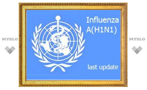 Число заболевших гриппом H1N1 приблизилось к 56 тысячам