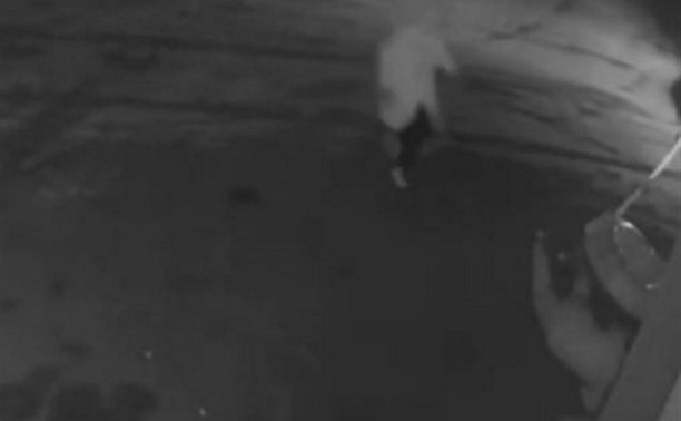 Туляк на дрифтующем тюбинге влетел в бетонный забор возле «Макси»: момент ДТП попал на видео