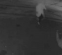 Туляк на дрифтующем тюбинге влетел в бетонный забор возле «Макси»: момент ДТП попал на видео