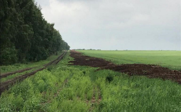 В Богородицком районе обнаружена гигантская свалка куриного помета