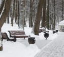 Погода в Туле 10 февраля: оттепель и небольшой снег