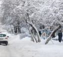 Погода в Туле 10 декабря: облачно, небольшой снег и до -10