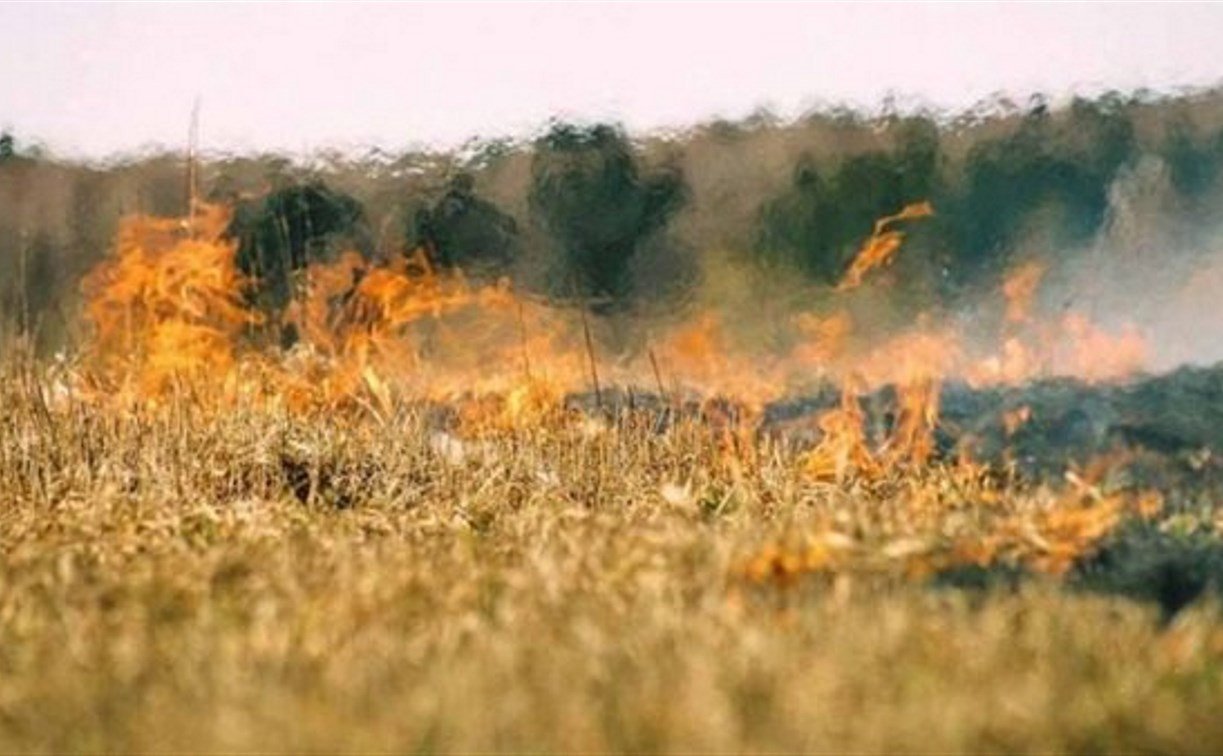 В Тульской области сохраняется высокий уровень пожароопасности