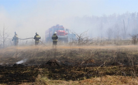 Жизнь Тулы и области