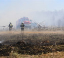 Учения: в Богородицком районе сотрудники МЧС потушили лесной пожар
