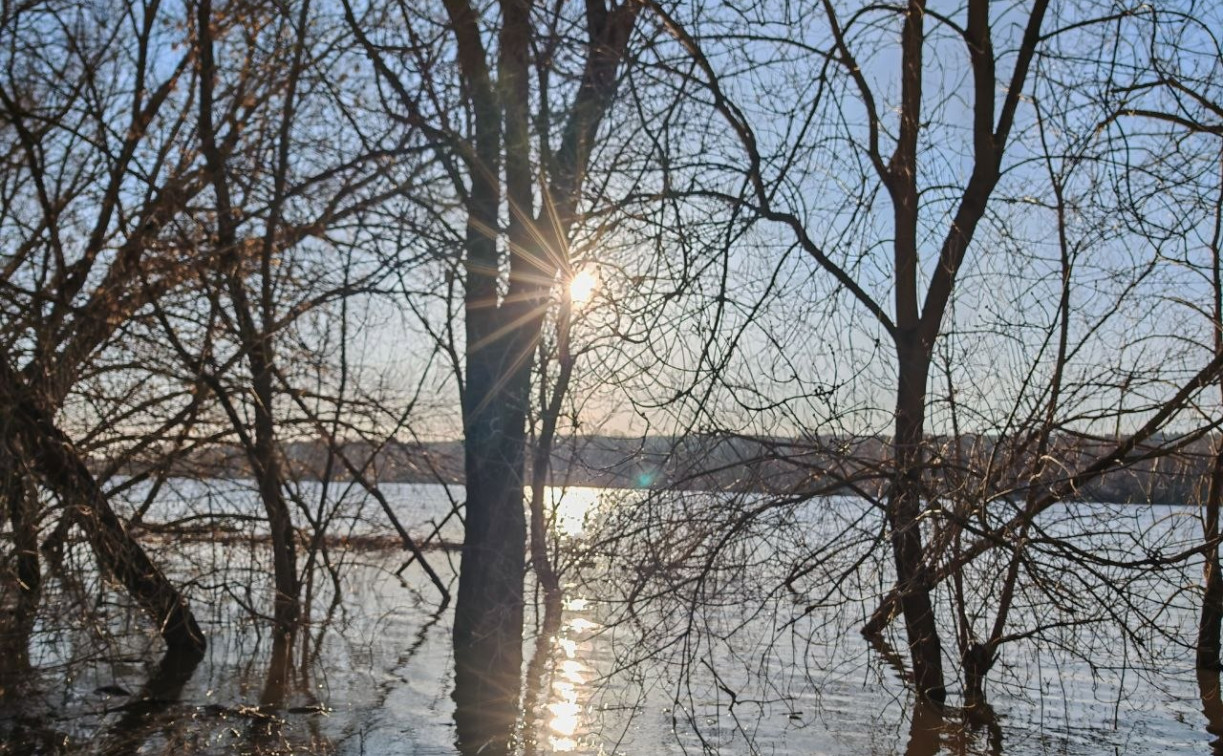 Погода в Туле 4 апреля: небольшой дождь и до +17