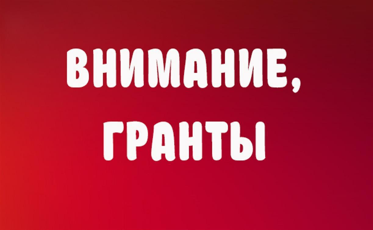 Тульские НКО смогут побороться за президентские гранты на 4 млрд рублей